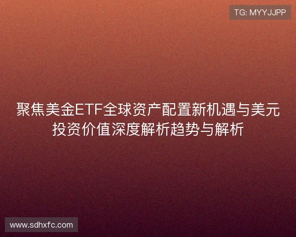 聚焦美金ETF全球资产配置新机遇与美元投资价值深度解析趋势与解析